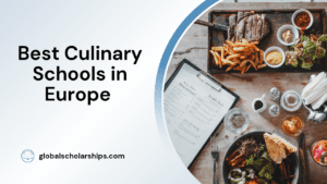 Best Culinary Schools in Europe