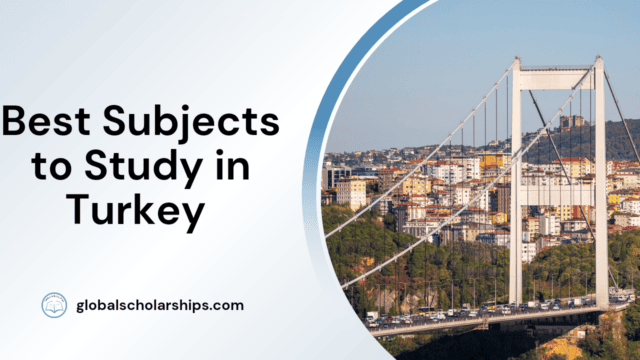 Best Subjects to Study in Turkey