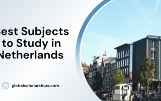 Best Subjects to Study in Netherlands