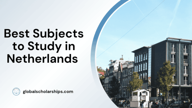Best Subjects to Study in Netherlands