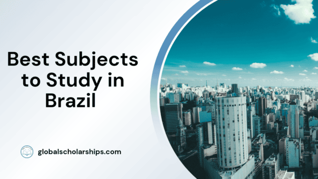 Best Subjects to Study in Brazil