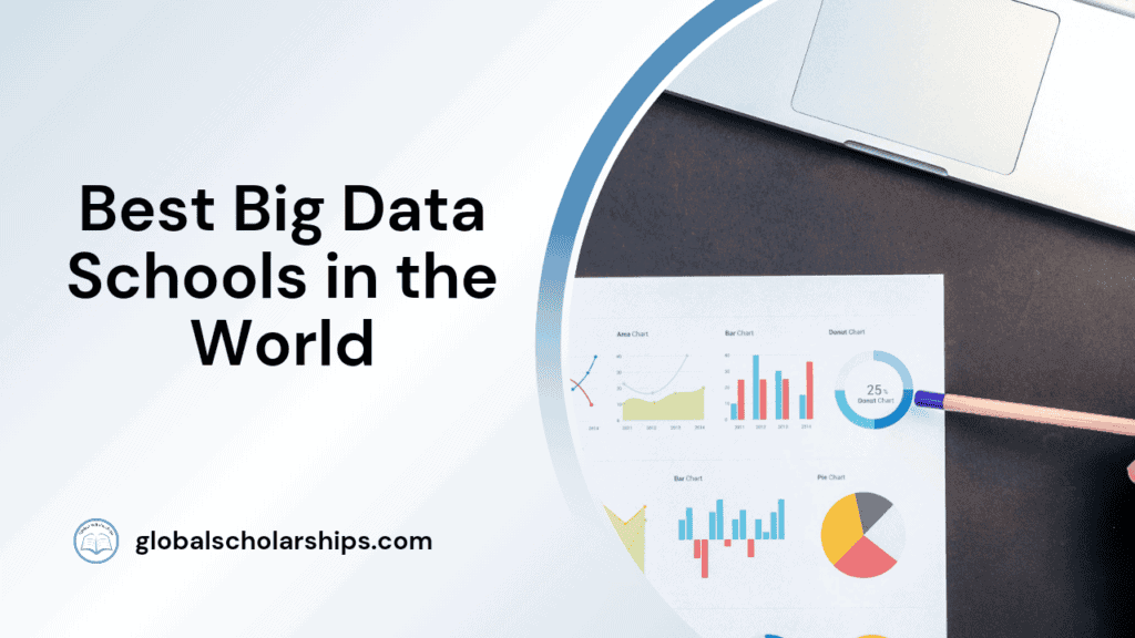 10 Best Software Engineering Schools in the World