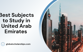Best Subjects to Study in United Arab Emirates