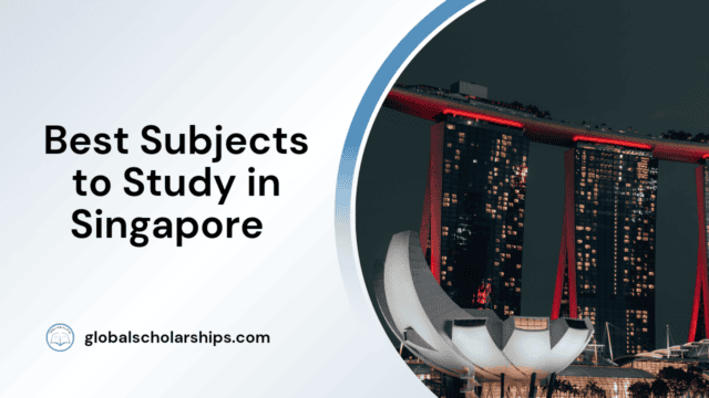 Best Subjects to Study in Singapore