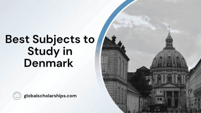 Best Subjects to Study in Denmark