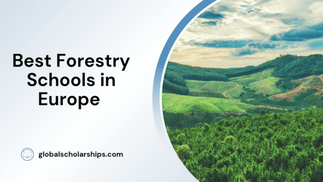 Best Forestry Schools in Europe