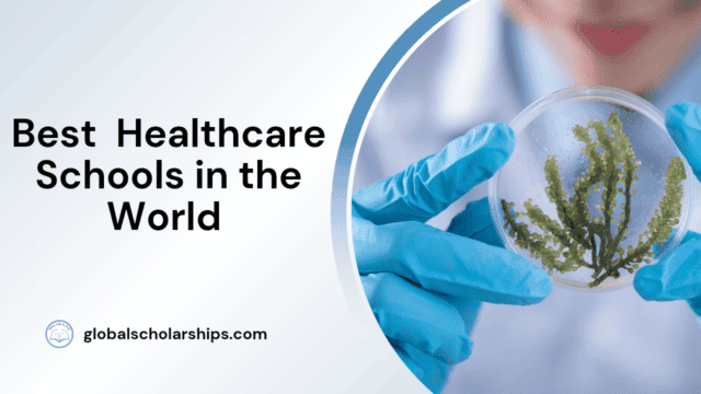 Best Healthcare Schools in the World