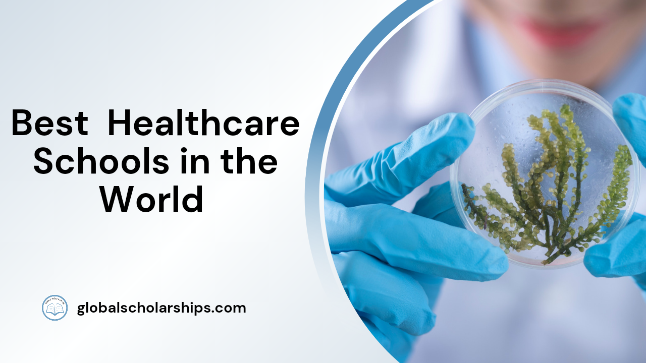 Best Healthcare Schools in the World
