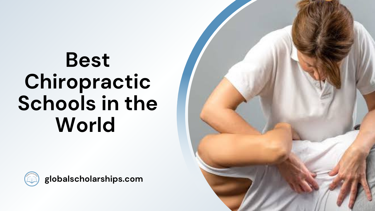 Best Chiropractic Schools in the World