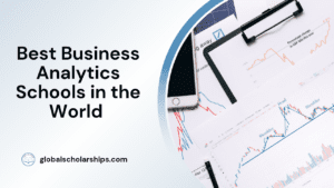 Best Business Analytics Schools in the World
