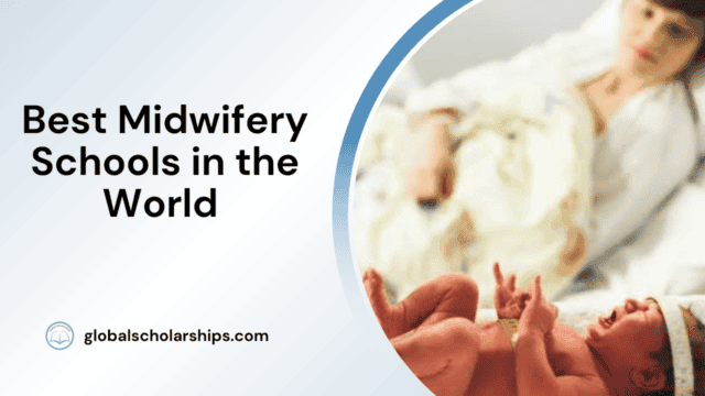 Best Midwifery Schools in the World