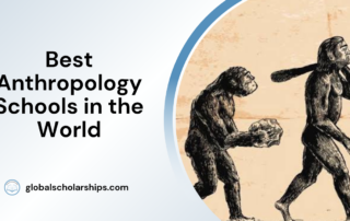 Best Anthropology Schools in the World