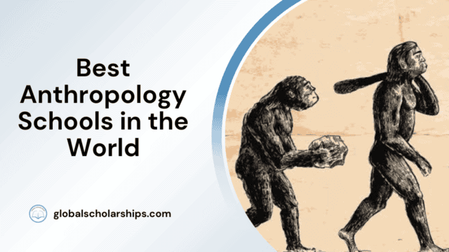 Best Anthropology Schools in the World