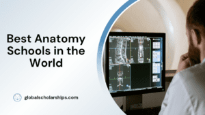 Best Anatomy Schools in the World