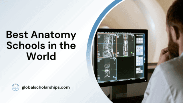 Best Anatomy Schools in the World