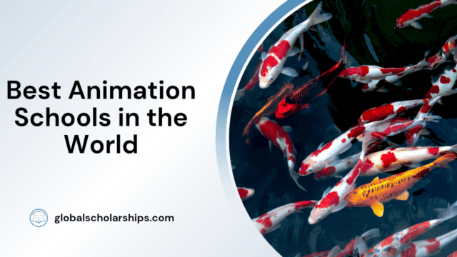 Best Animation Schools in the World
