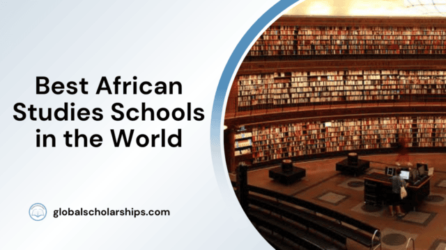 Best African Studies Schools in the World