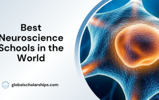 Best Neuroscience Schools in the World