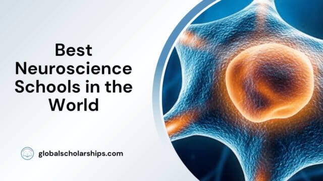 Best Neuroscience Schools in the World