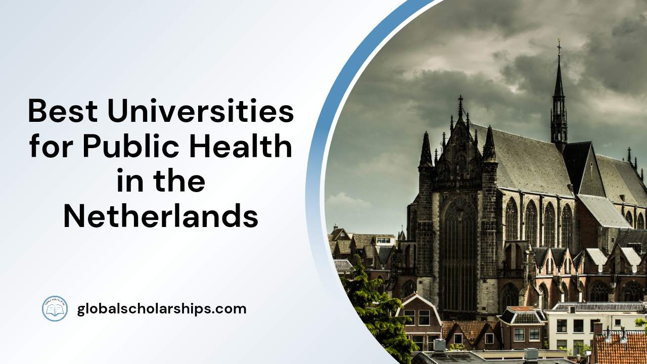 phd in health economics in netherlands