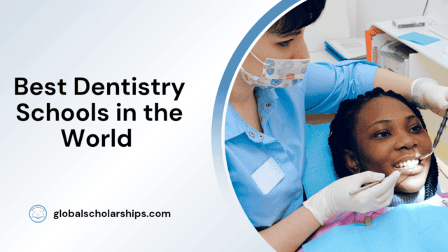 Best Dentistry Schools in the World