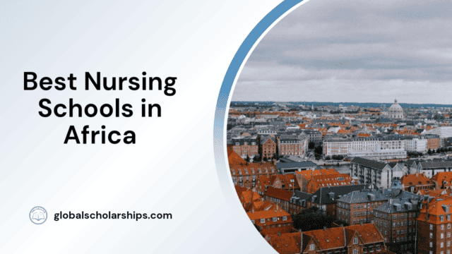 Best Nursing Schools in Africa
