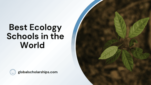 Best Ecology Schools in the World