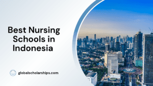 Best Nursing Schools in Indonesia