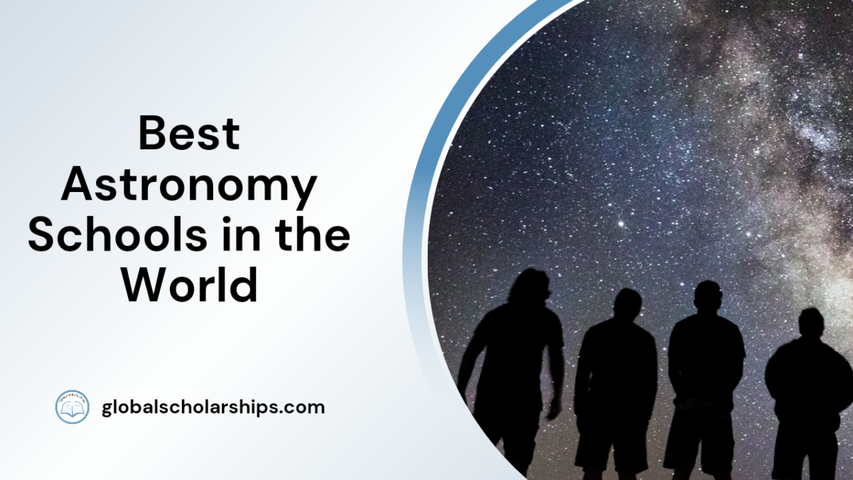 17 Best Sports Management Schools in the World Global Scholarships