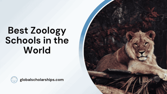 Best Zoology Schools in the World