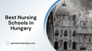 Best Nursing Schools in Hungary