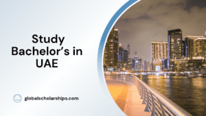 Study Bachelor's in UAE