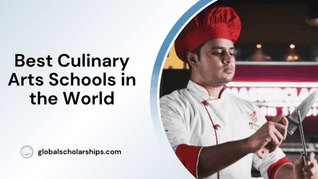 Best Culinary Arts Schools in the World