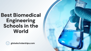 Best Biomedical Engineering Schools in the World