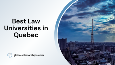 BEST LAW SCHOOL KOREA visual data 6