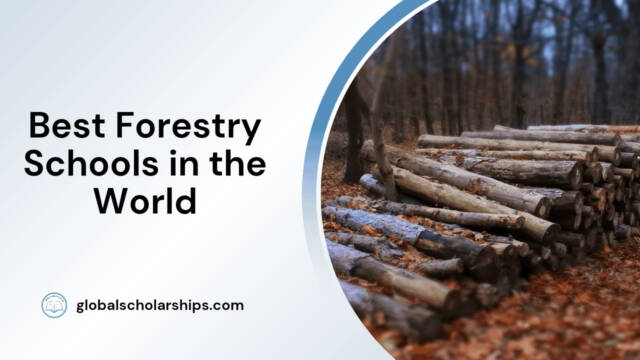 Best Forestry Schools in the World