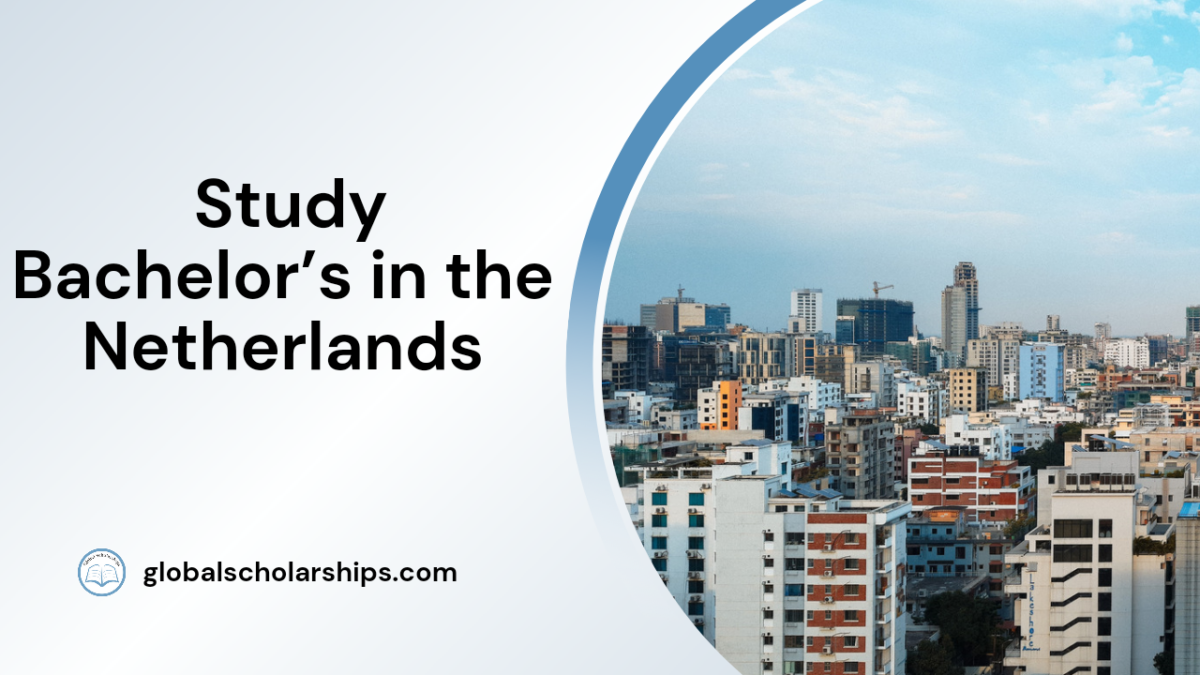 BACHELORS IN NORWAY FOR INTERNATIONAL STUDENTS visual data 5