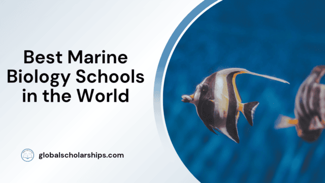 Best Marine Biology Schools in the World