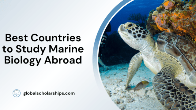 Best Countries to Study Marine Biology Abroad