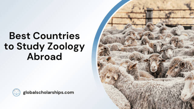 Best Countries to Study Zoology Abroad