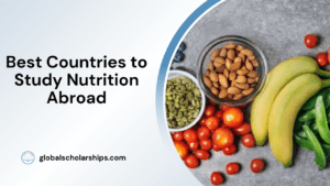 Best Countries to Study Nutrition Abroad