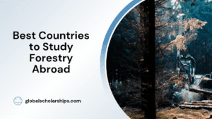 Best Countries to Study Forestry Abroad