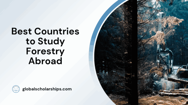 Best Countries to Study Forestry Abroad