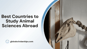 Best Countries to Study Animal Sciences Abroad
