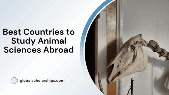 Best Countries to Study Animal Sciences Abroad