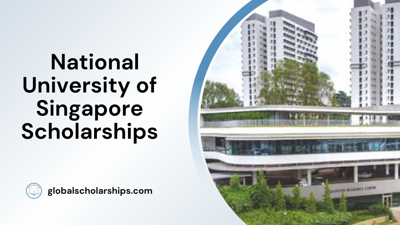 National University of Singapore Scholarships