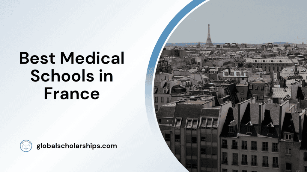 13 Best Medical Schools in Turkey Global Scholarships