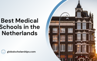 Best Medical Schools in the Netherlands