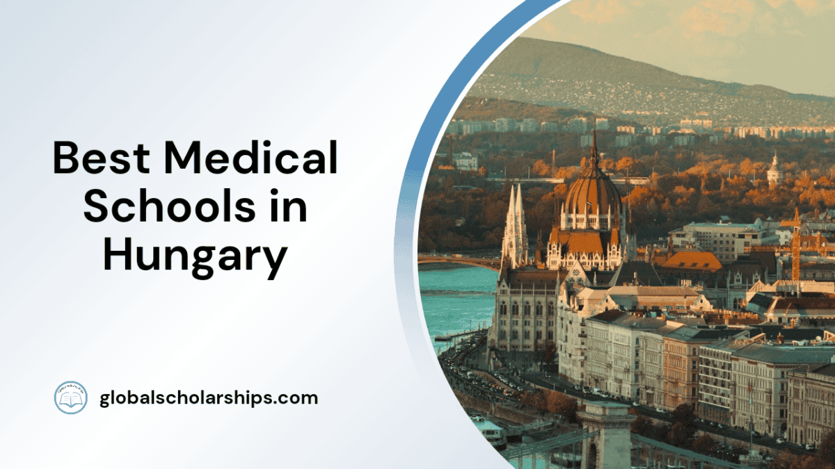 13 Best Medical Schools in South Korea Global Scholarships