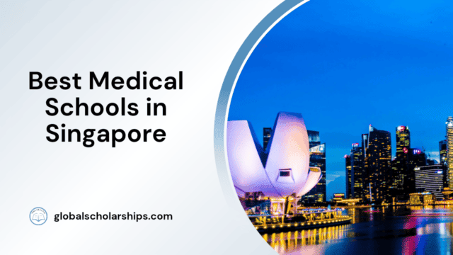 Best medical Schools in Singapore